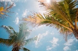 Tips to go to study in Florida