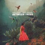 Heiko Maile + Julian Demarre unveil new single ‘Between Trees’ ahead of album release