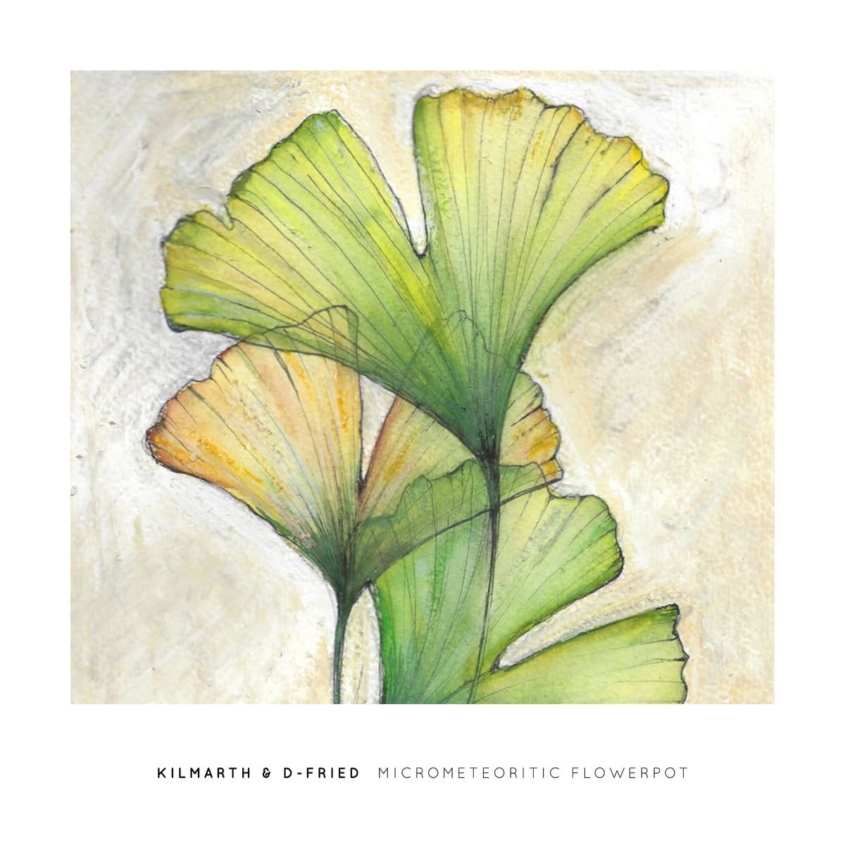 Kilmarth and D-Fried join up for 'Micrometeoritic Flowerpot' album